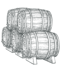 Professionell representation